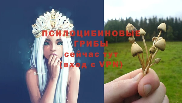 mdpv Кукмор