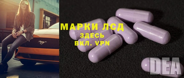 СК Кулебаки