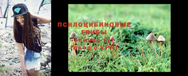 молекула духа Куйбышев