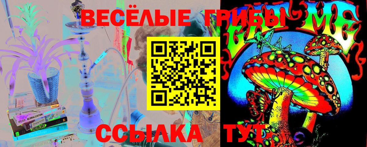 Липецк  Галлюциногенные грибы прущие грибы  Вход с VPN 