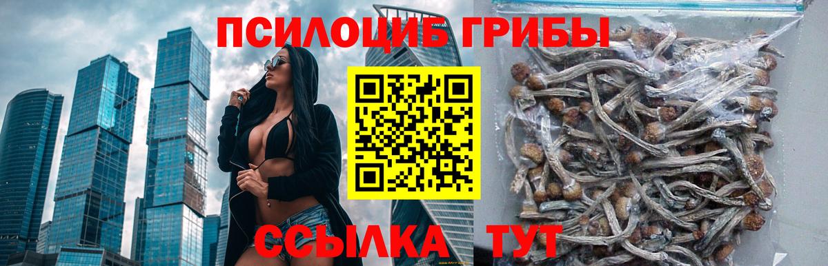 Псилоцибиновые грибы мухоморы  Липецк 