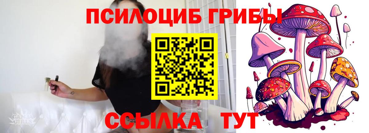 Галлюциногенные грибы Psilocybine cubensis Липецк